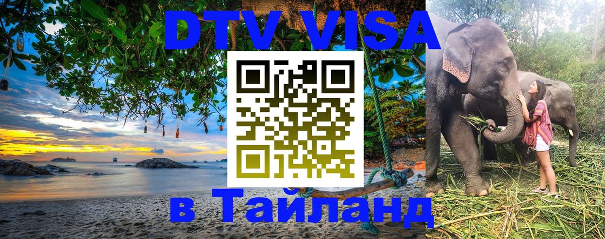 Сколько стоит DTV виза — актуальные цены, оформление даже без документов - 20.11.2025 